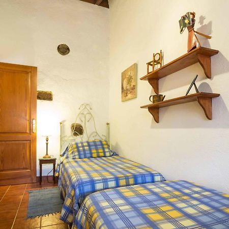 Finca El Picacho Apartments In The Countryside 2 Km From The Beach 테예나 객실 사진