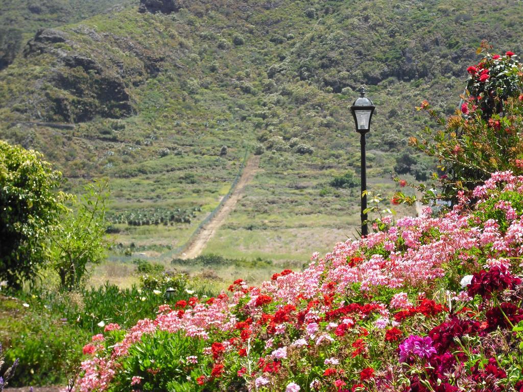 Finca El Picacho Apartments In The Countryside 2 Km From The Beach 테예나 객실 사진