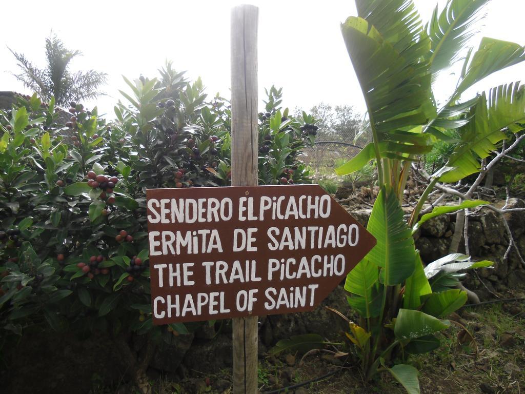 Finca El Picacho Apartments In The Countryside 2 Km From The Beach 테예나 객실 사진