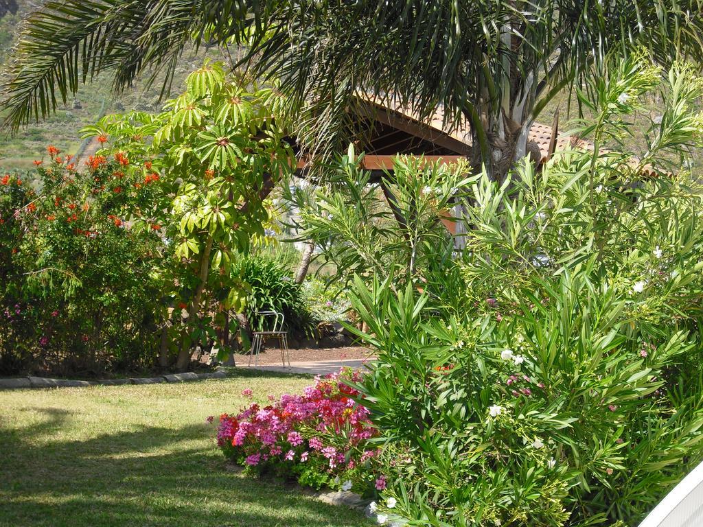 Finca El Picacho Apartments In The Countryside 2 Km From The Beach 테예나 외부 사진