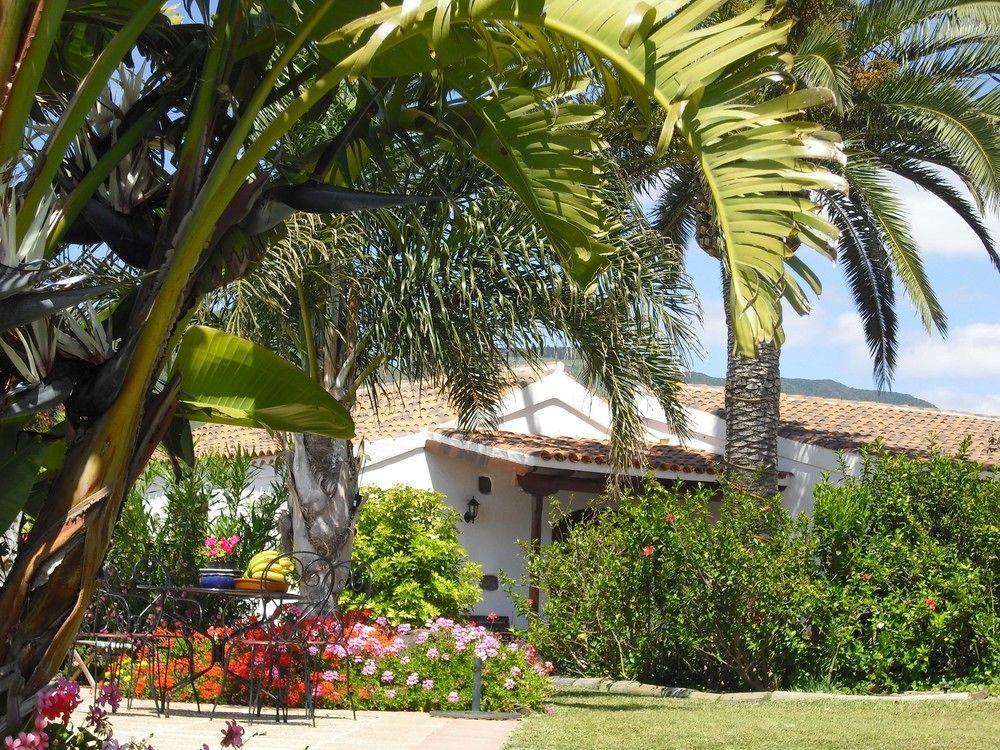 Finca El Picacho Apartments In The Countryside 2 Km From The Beach 테예나 외부 사진