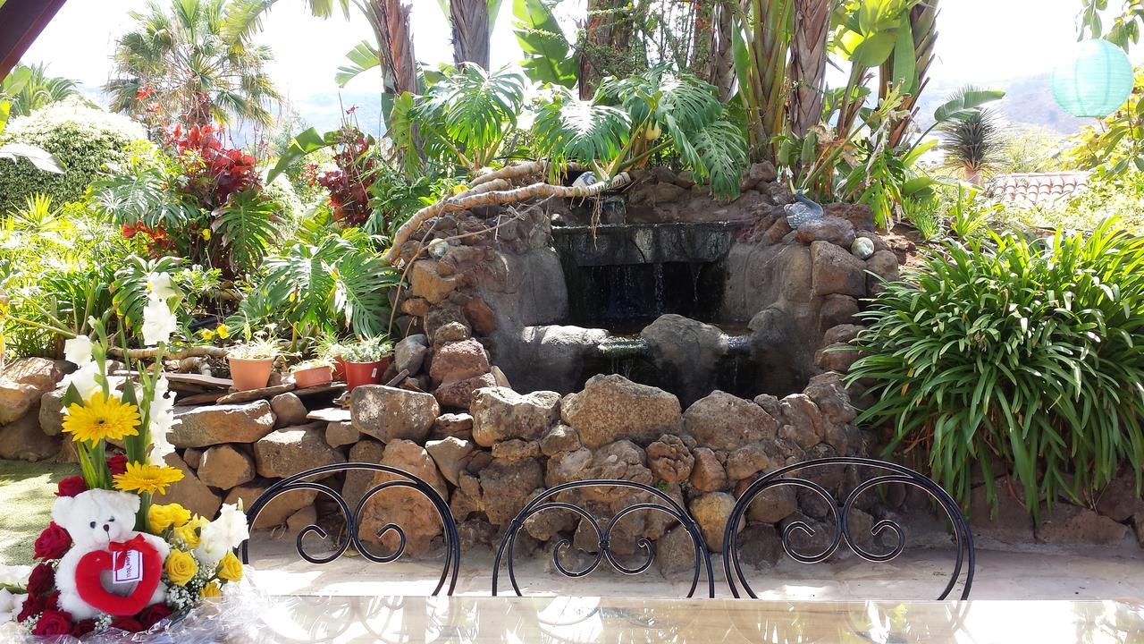 Finca El Picacho Apartments In The Countryside 2 Km From The Beach 테예나 외부 사진