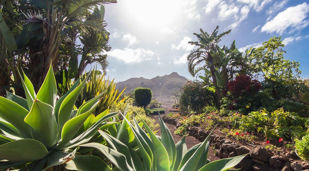 Finca El Picacho Apartments In The Countryside 2 Km From The Beach 테예나 객실 사진