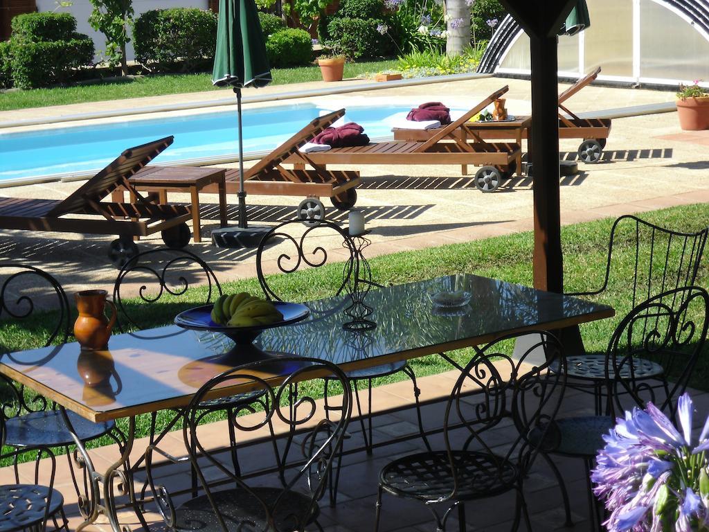 Finca El Picacho Apartments In The Countryside 2 Km From The Beach 테예나 객실 사진