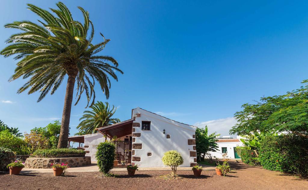Finca El Picacho Apartments In The Countryside 2 Km From The Beach 테예나 객실 사진